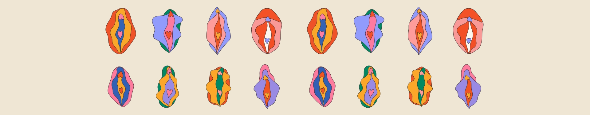 Diferencia entre vulva y vagina: conoce tu zona íntima - Nosotras 